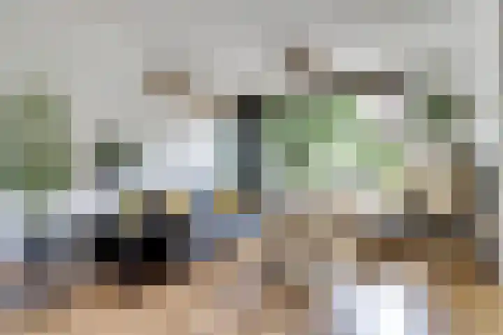 De Ruyterweg 15 Bleiswijk thumbnail 13