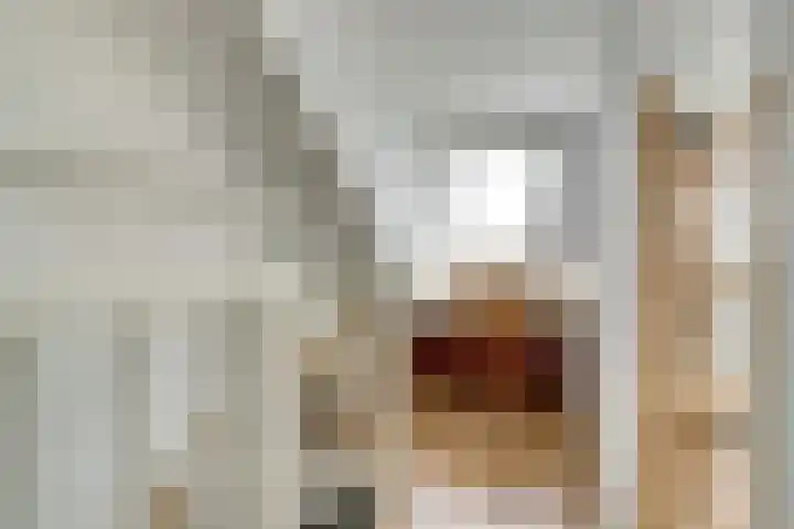 De Ruyterweg 15 Bleiswijk thumbnail 31