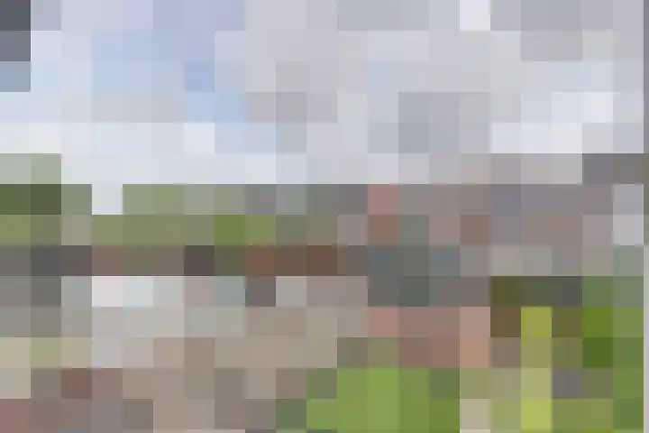 De Ruyterweg 15 Bleiswijk thumbnail 37