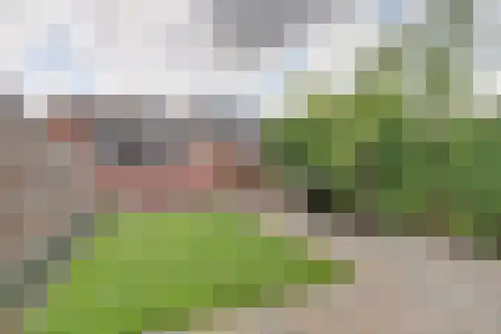 De Ruyterweg 15 Bleiswijk thumbnail 38