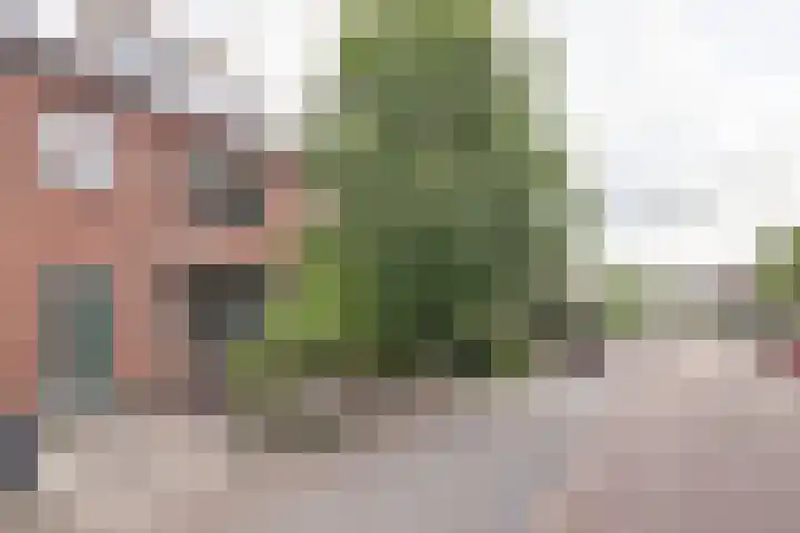 De Ruyterweg 15 Bleiswijk thumbnail 6