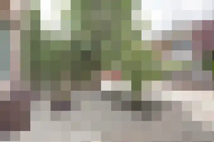 De Ruyterweg 15 Bleiswijk thumbnail 7