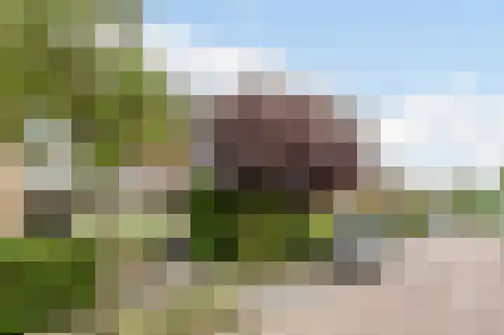 De Ruyterweg 18 Bleiswijk thumbnail 32