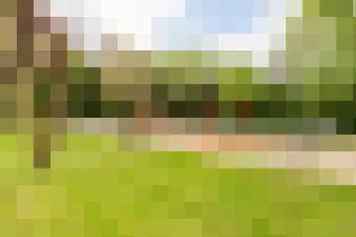De Ruyterweg 18 Bleiswijk thumbnail 33