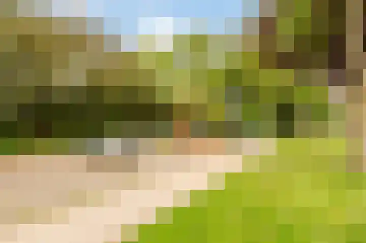 De Ruyterweg 18 Bleiswijk thumbnail 34