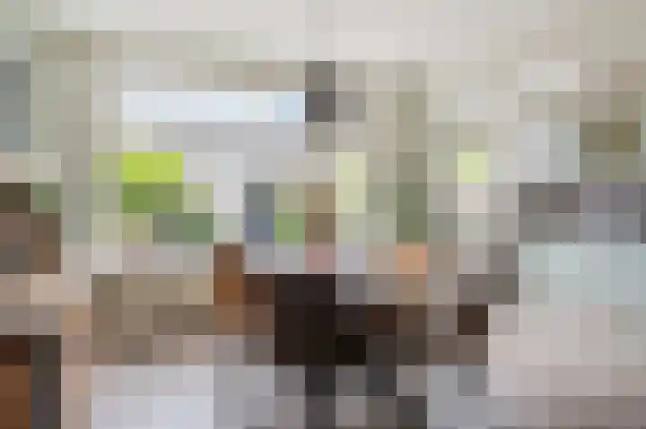 De Ruyterweg 18 Bleiswijk thumbnail 4