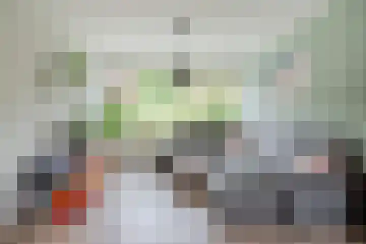 De Ruyterweg 18 Bleiswijk thumbnail 8