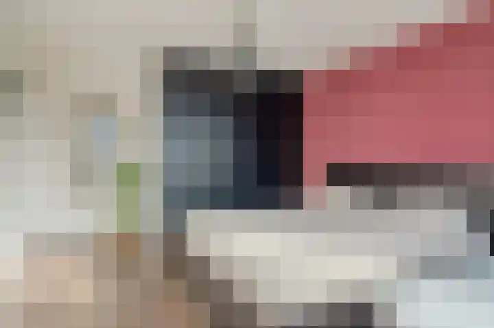 De Ruyterweg 6 Bleiswijk thumbnail 16