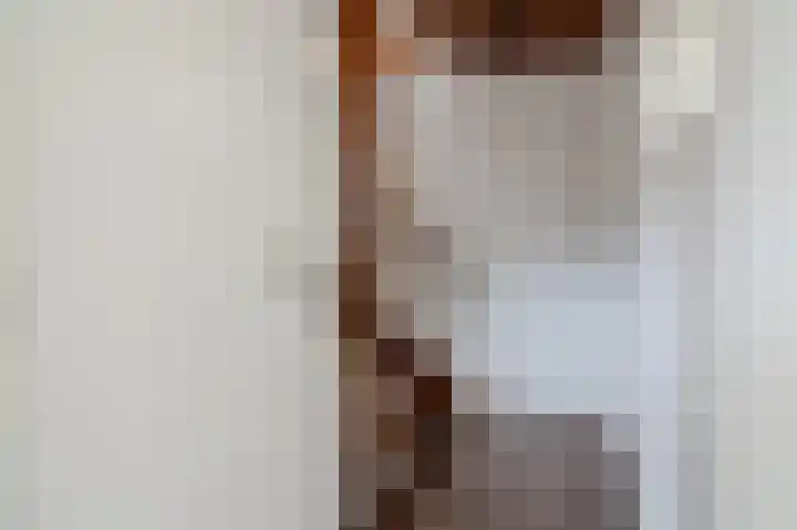De Ruyterweg 6 Bleiswijk thumbnail 20
