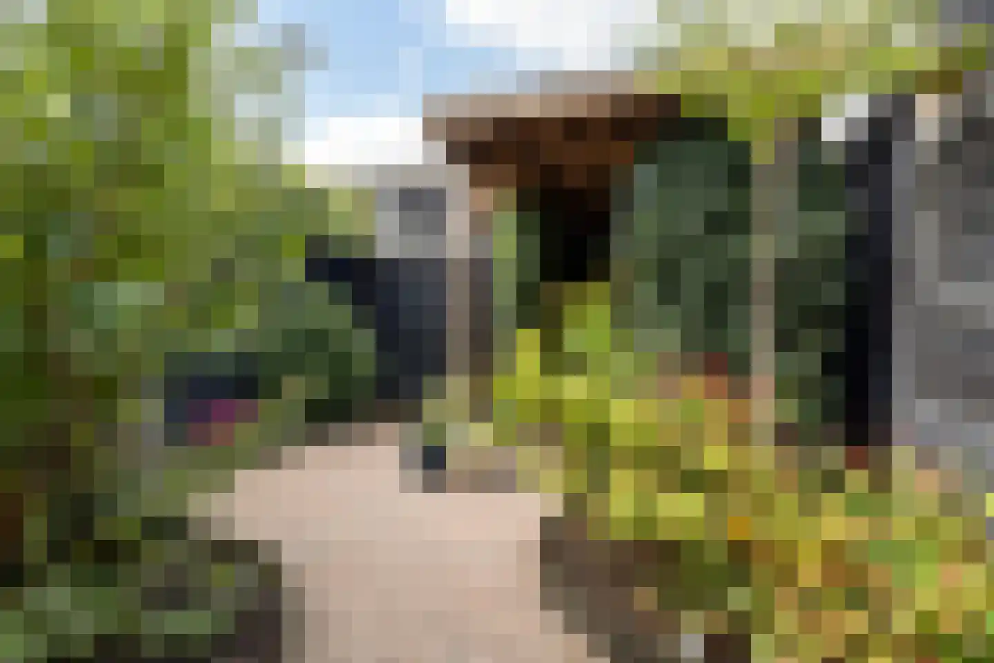de Ruyterweg 71 Leeuwarden thumbnail 54