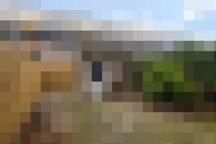 de Ruyterweg 86 Leeuwarden thumbnail 39