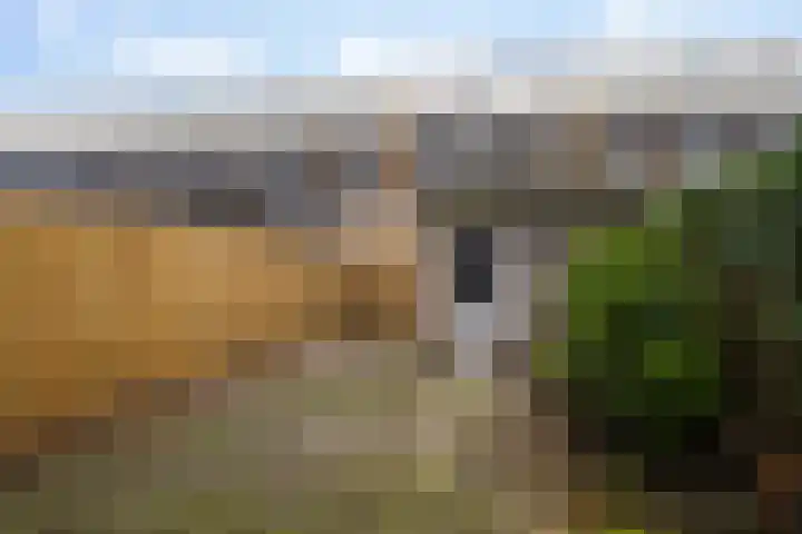 de Ruyterweg 86 Leeuwarden thumbnail 41