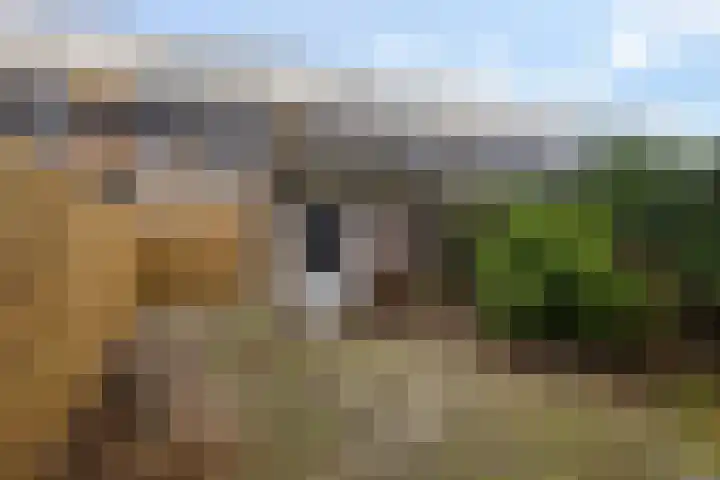 de Ruyterweg 86 Leeuwarden thumbnail 5