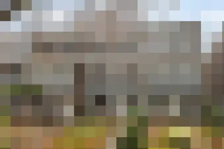 de Ruyterweg 86 Leeuwarden thumbnail 6