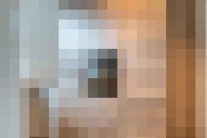 De Ryge 14 Nijeveen thumbnail 11