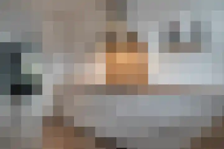 De Ryge 14 Nijeveen thumbnail 13