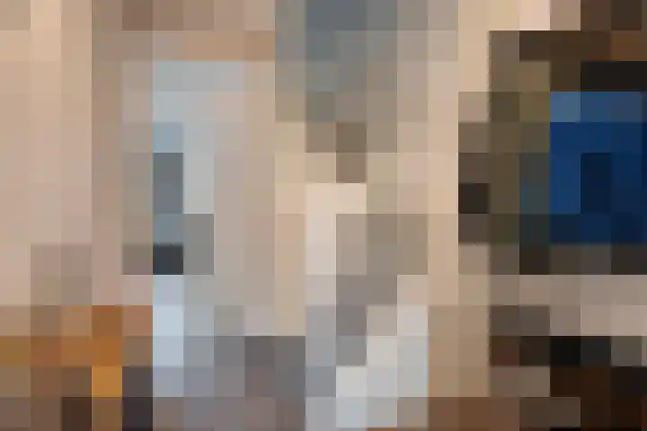 De Ryge 14 Nijeveen thumbnail 15