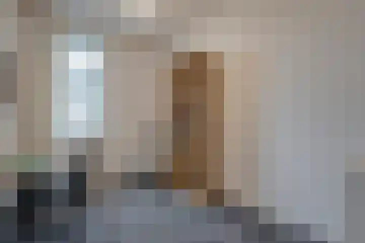 De Ryge 14 Nijeveen thumbnail 18