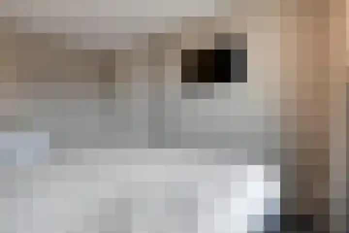 De Ryge 14 Nijeveen thumbnail 23