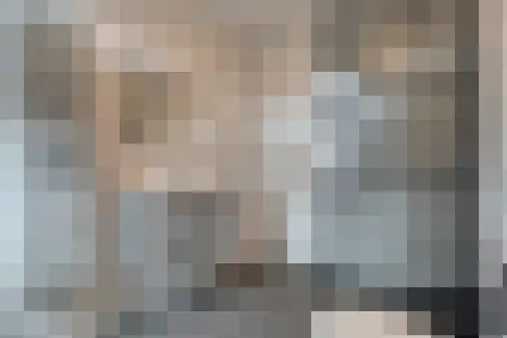 De Ryge 14 Nijeveen thumbnail 24