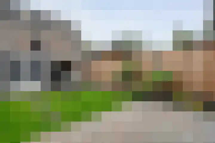 De Ryge 14 Nijeveen thumbnail 29