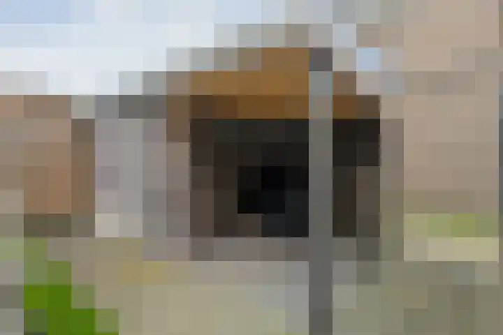 De Ryge 14 Nijeveen thumbnail 31