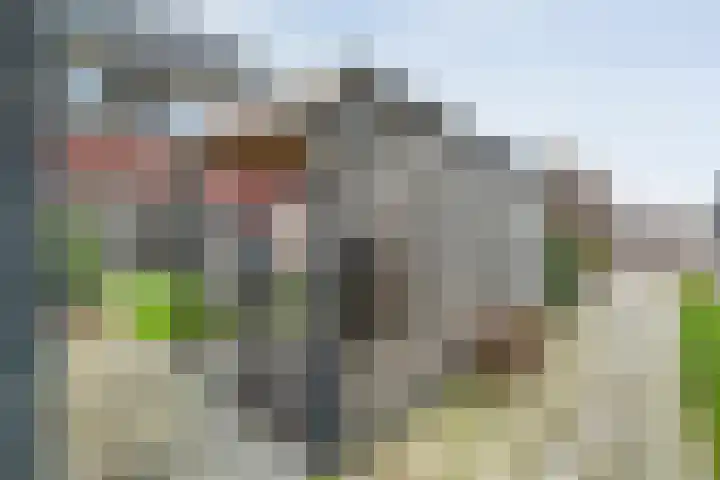 De Ryge 14 Nijeveen thumbnail 32