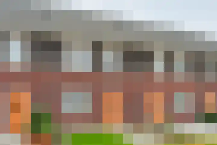 De Ryge 14 Nijeveen thumbnail 33
