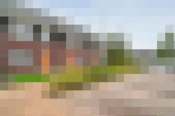 De Ryge 14 Nijeveen thumbnail 35
