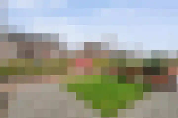 De Ryge 14 Nijeveen thumbnail 36