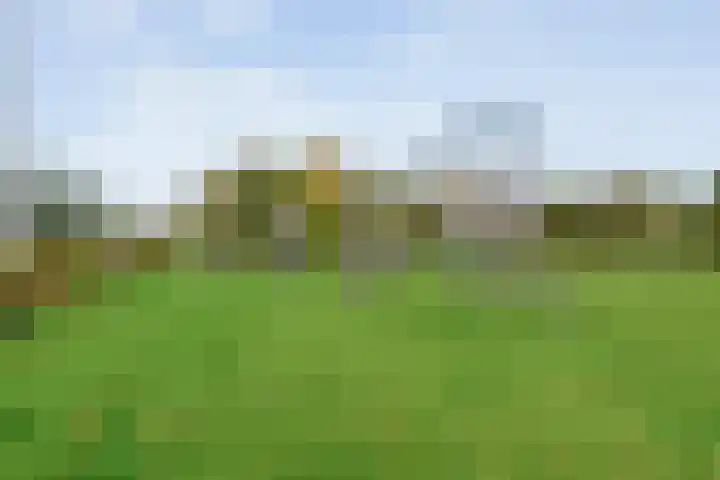 De Ryge 14 Nijeveen thumbnail 38