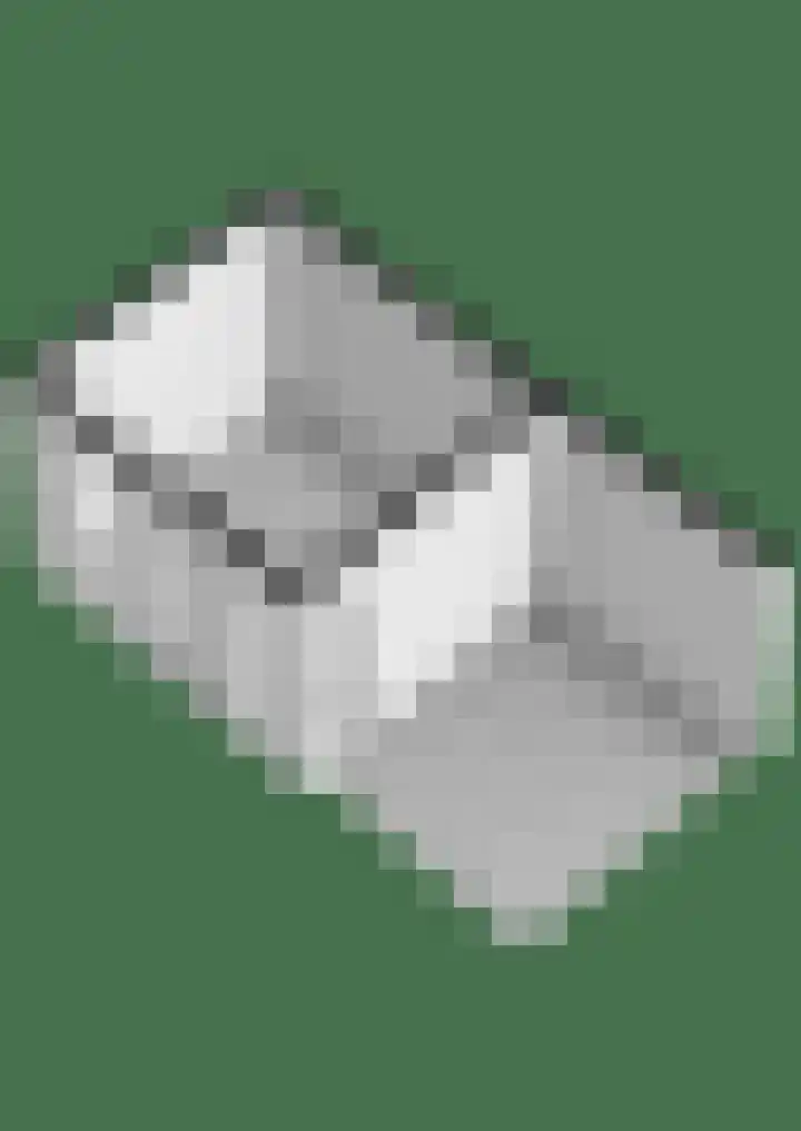 De Ryge 14 Nijeveen thumbnail 42