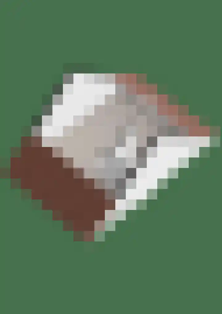 De Ryge 14 Nijeveen thumbnail 46