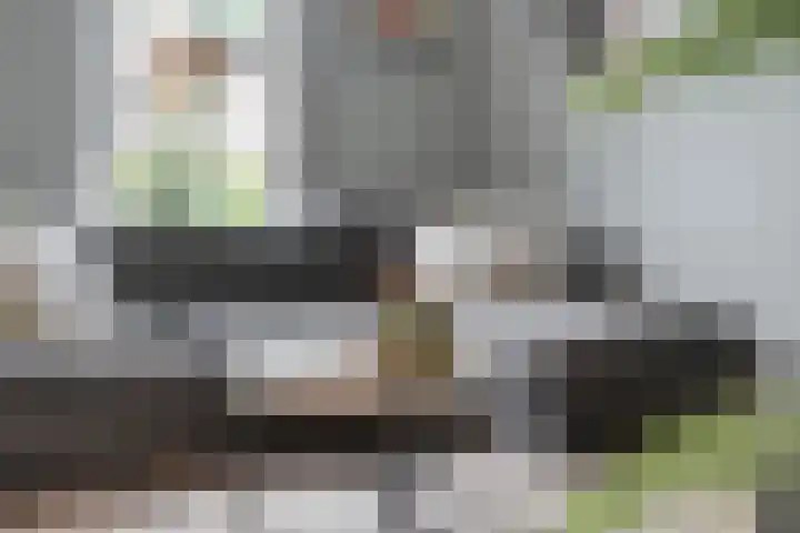 De Ryge 14 Nijeveen thumbnail 7