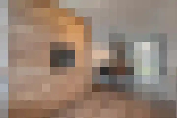 De Ryge 14 Nijeveen thumbnail 9