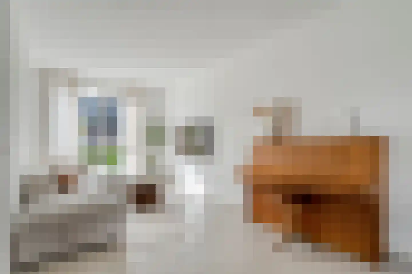 De Ryge 2 Nijeveen thumbnail 15