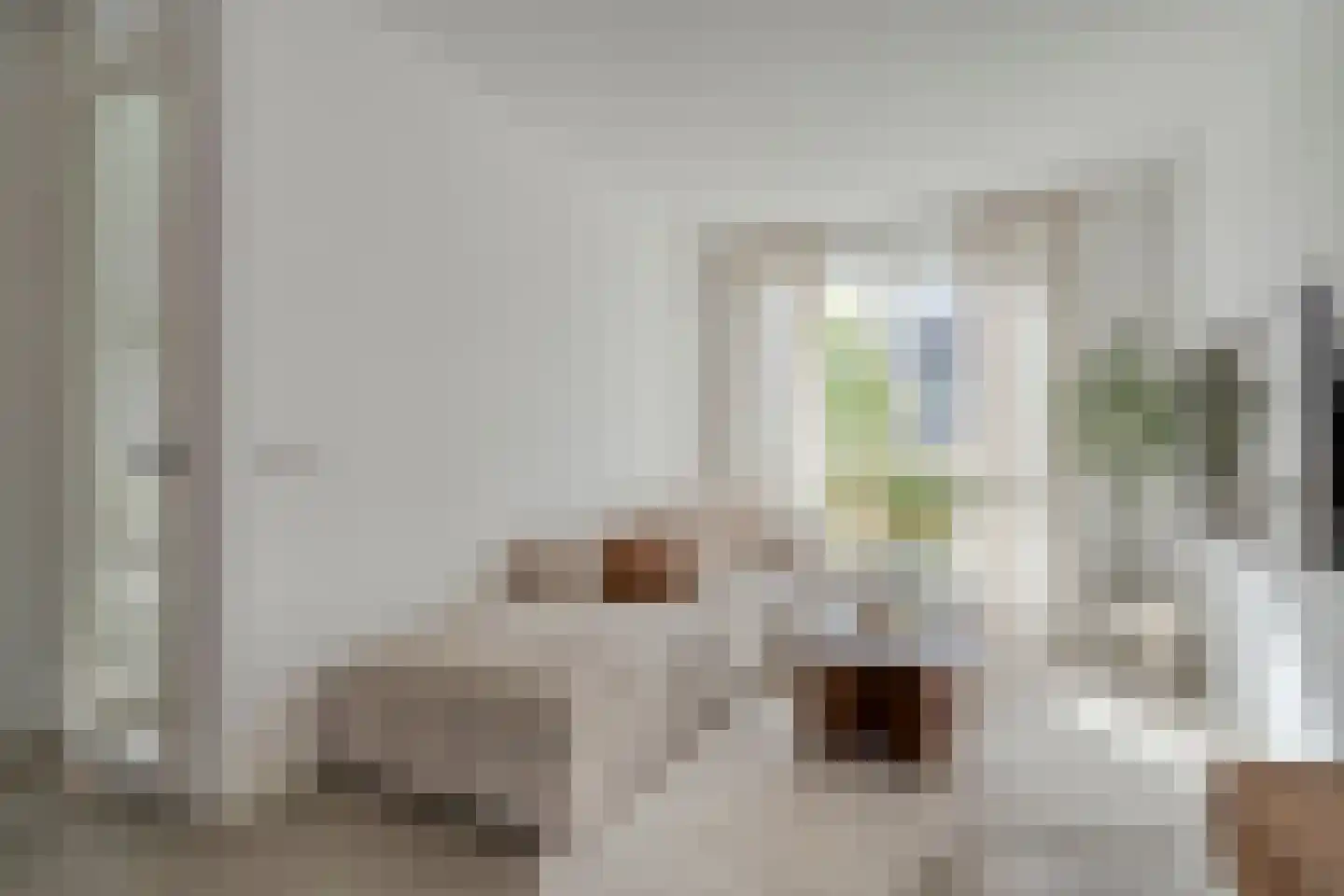 De Ryge 2 Nijeveen thumbnail 16