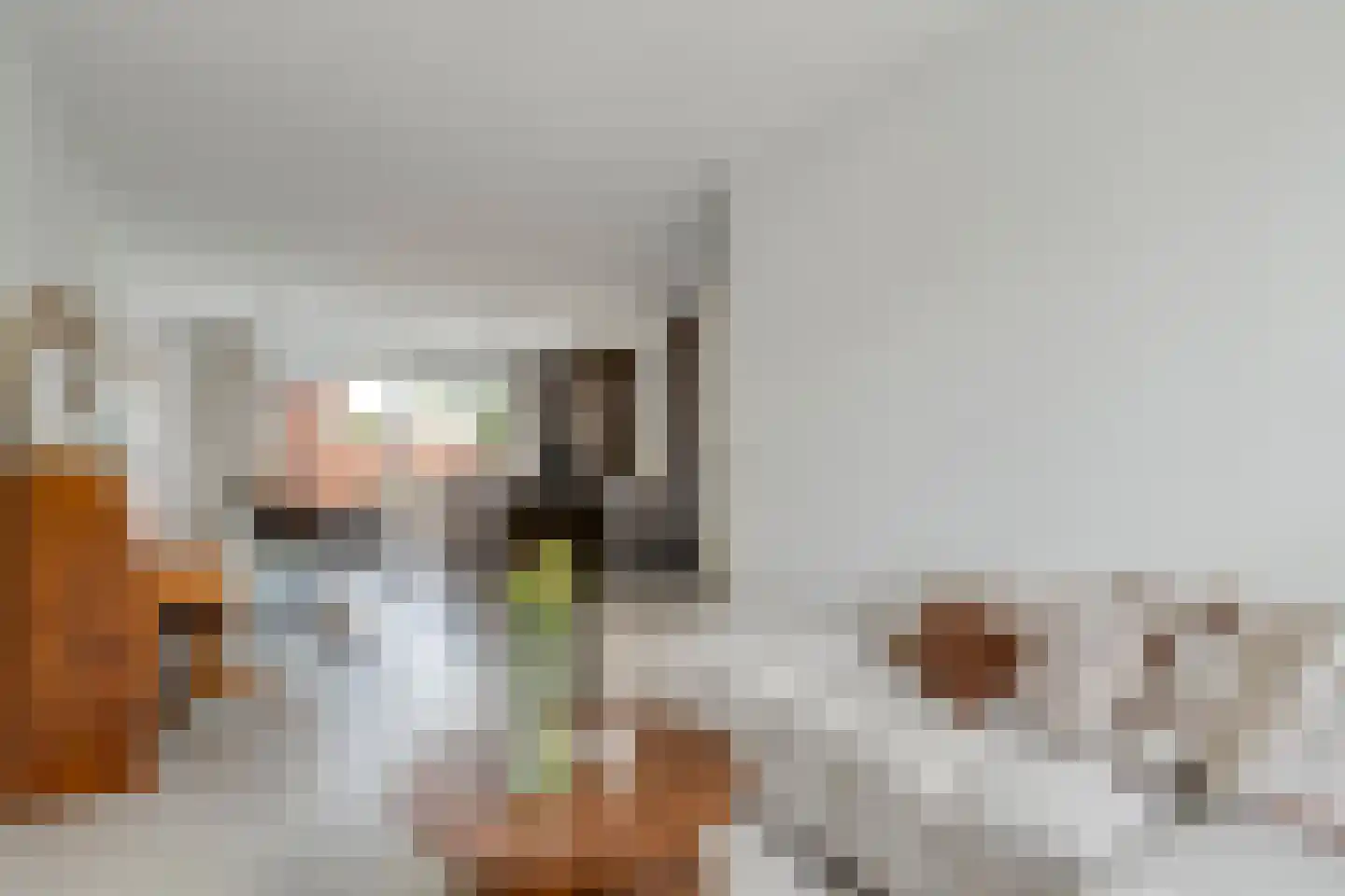 De Ryge 2 Nijeveen foto 2
