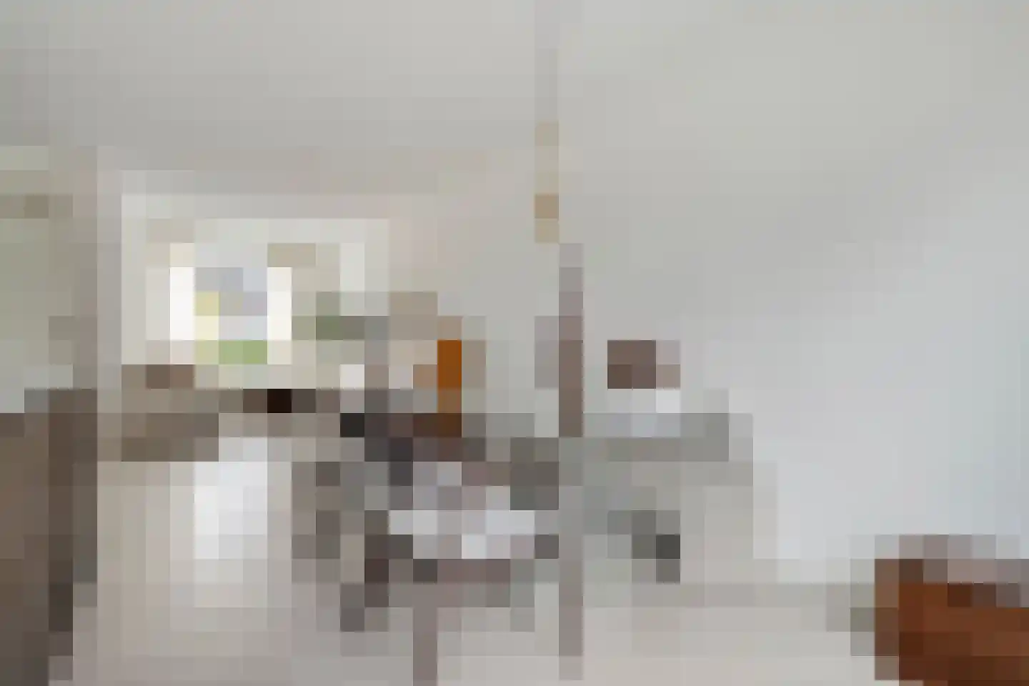 De Ryge 2 Nijeveen thumbnail 20