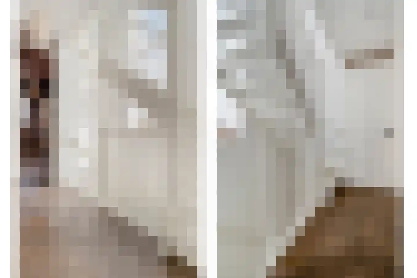 De Ryge 2 Nijeveen thumbnail 26