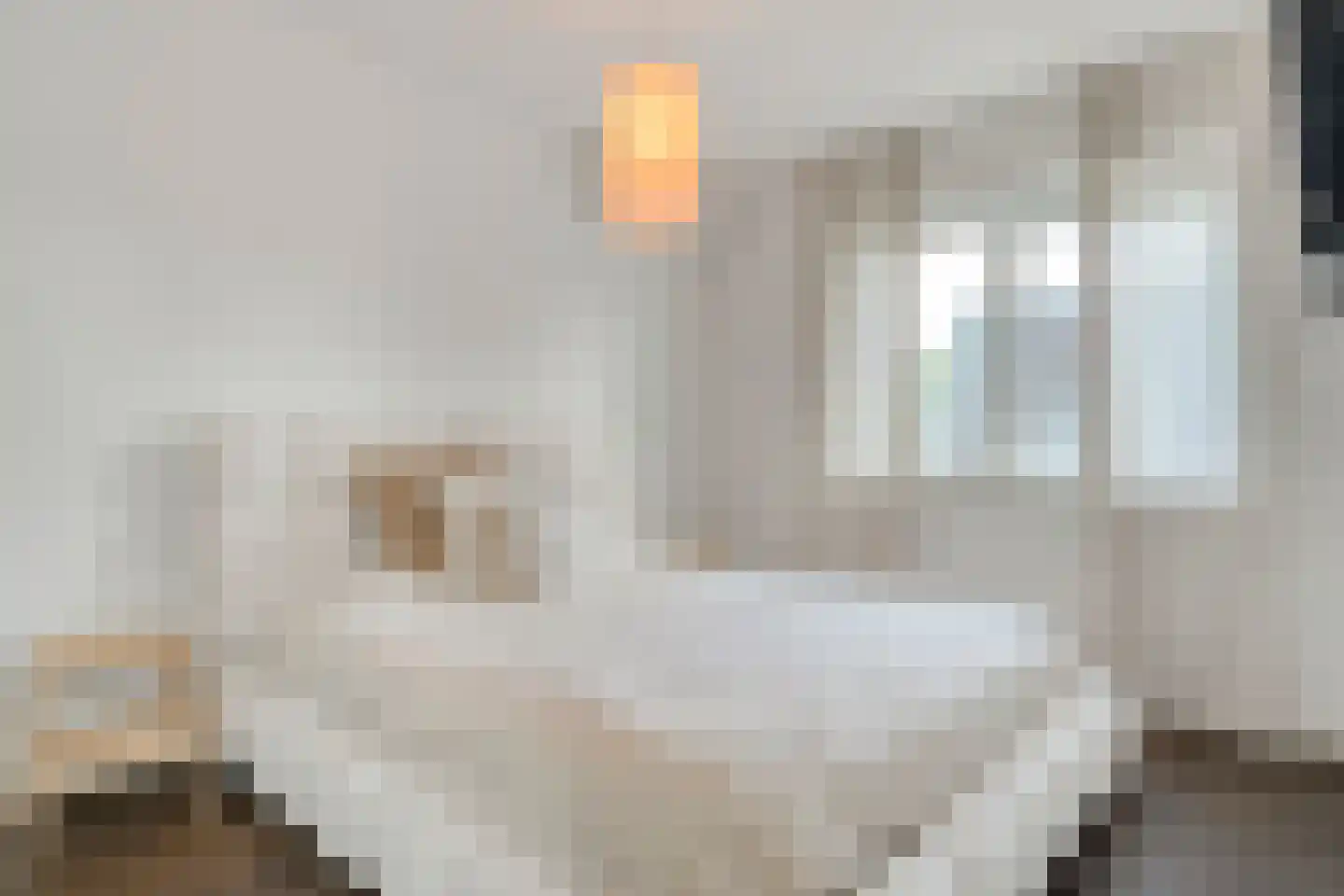 De Ryge 2 Nijeveen thumbnail 27