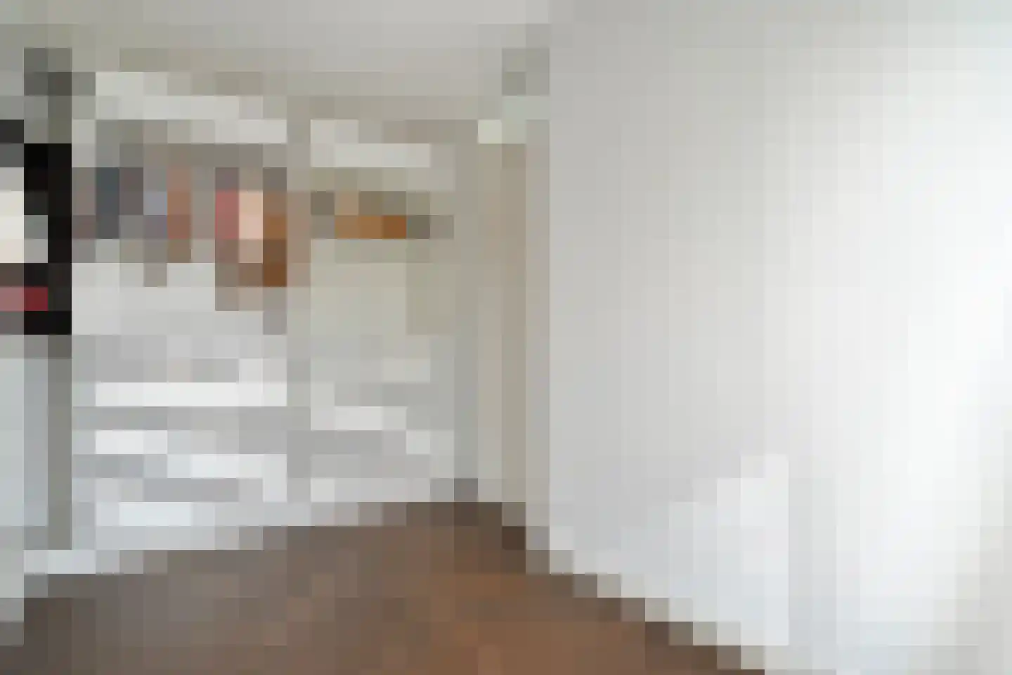 De Ryge 2 Nijeveen thumbnail 32