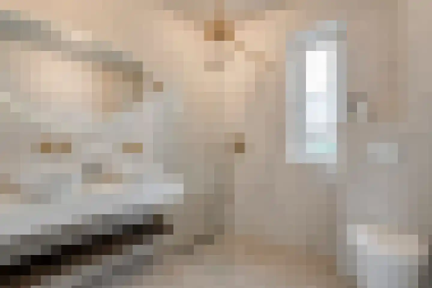 De Ryge 2 Nijeveen thumbnail 33