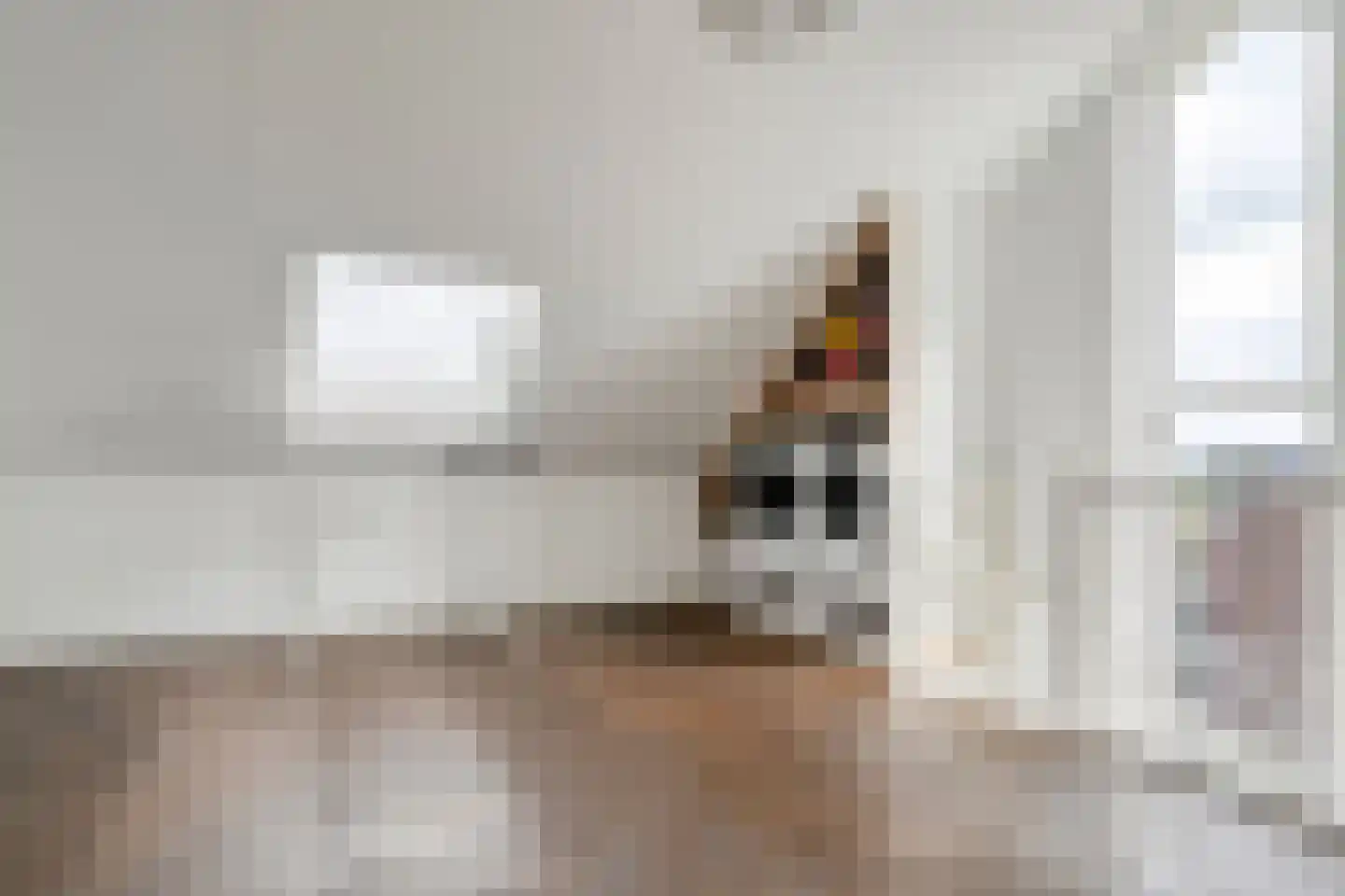 De Ryge 2 Nijeveen thumbnail 36