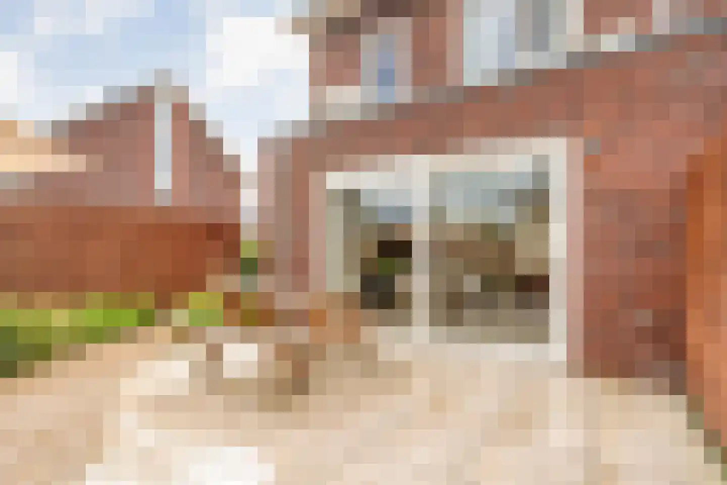De Ryge 2 Nijeveen thumbnail 38