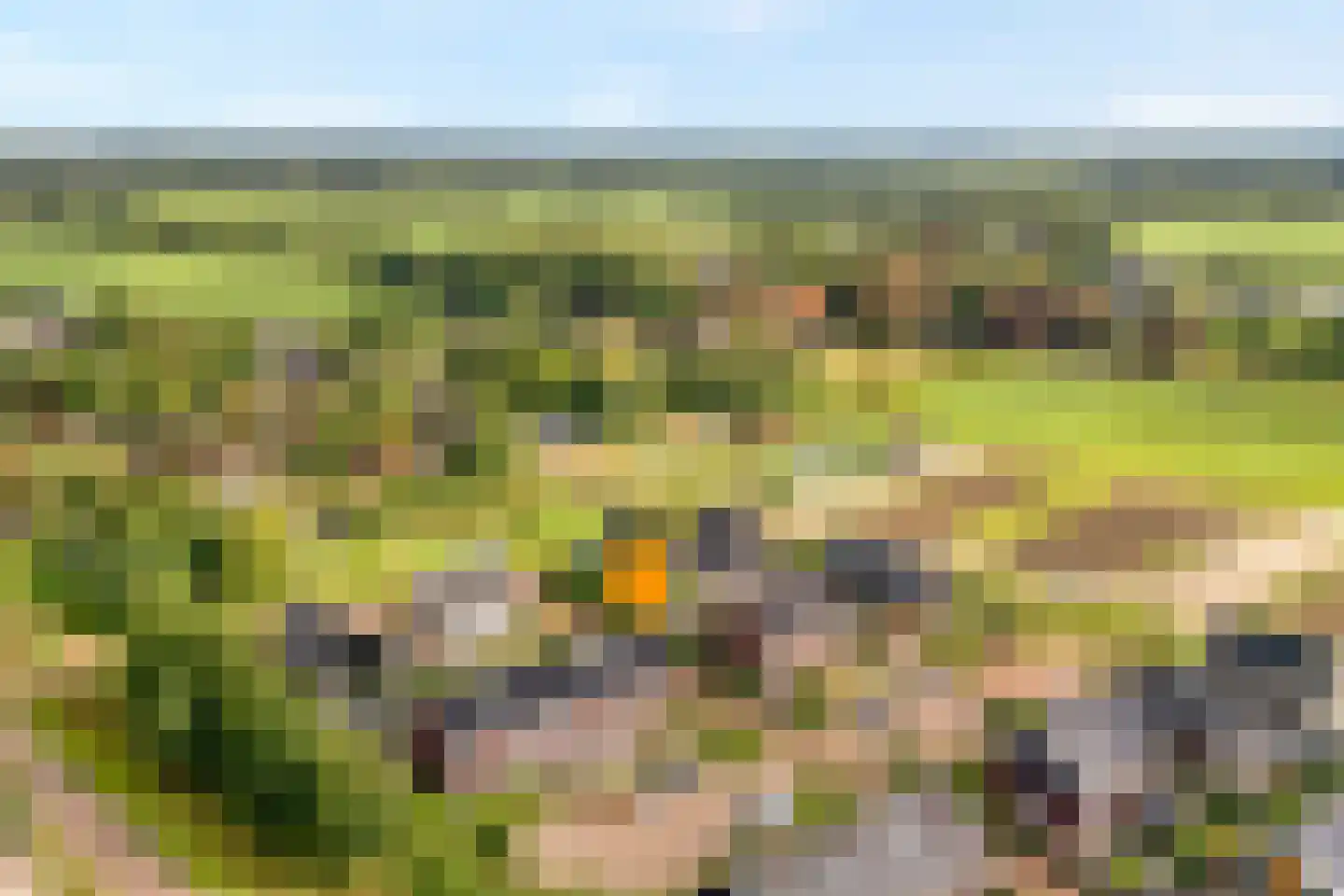 De Ryge 2 Nijeveen thumbnail 5