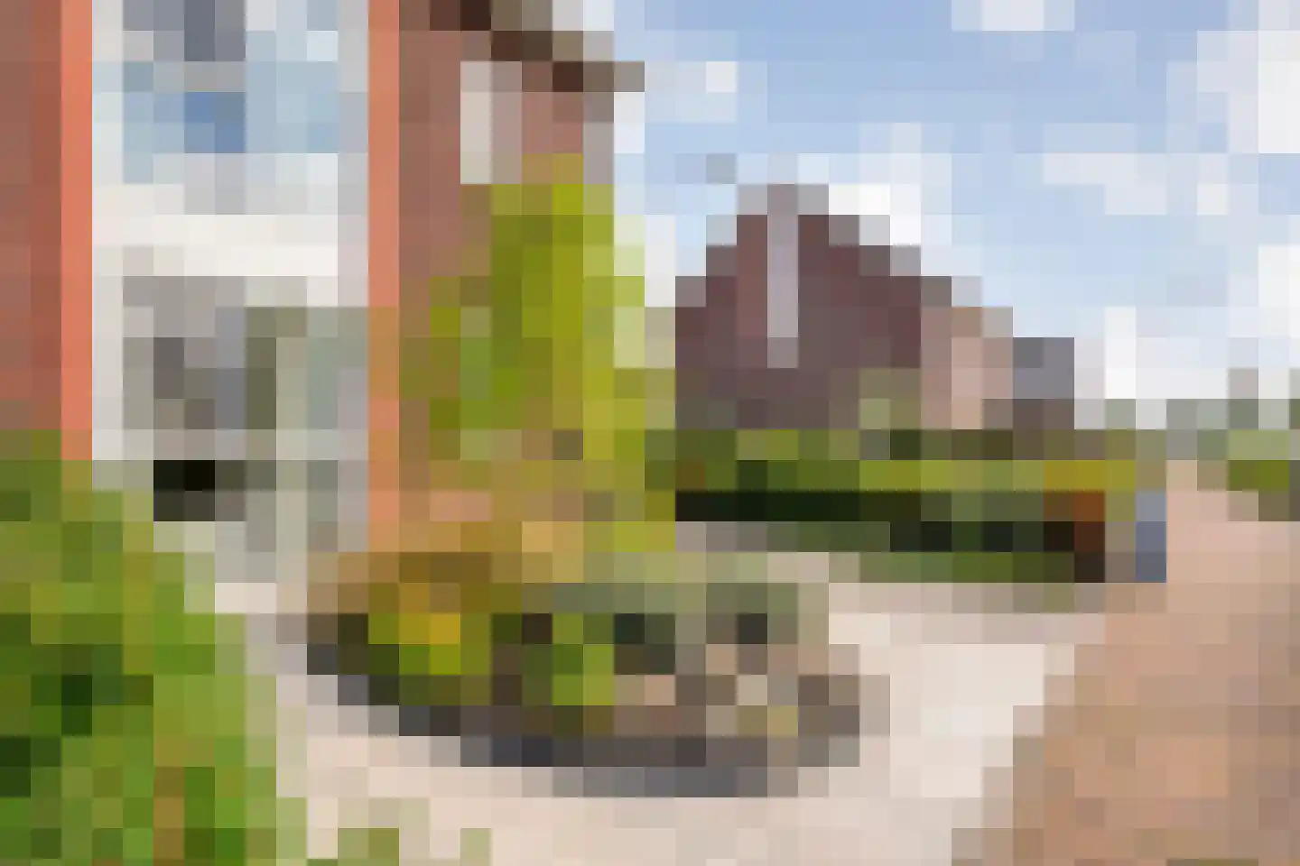 De Ryge 2 Nijeveen thumbnail 9
