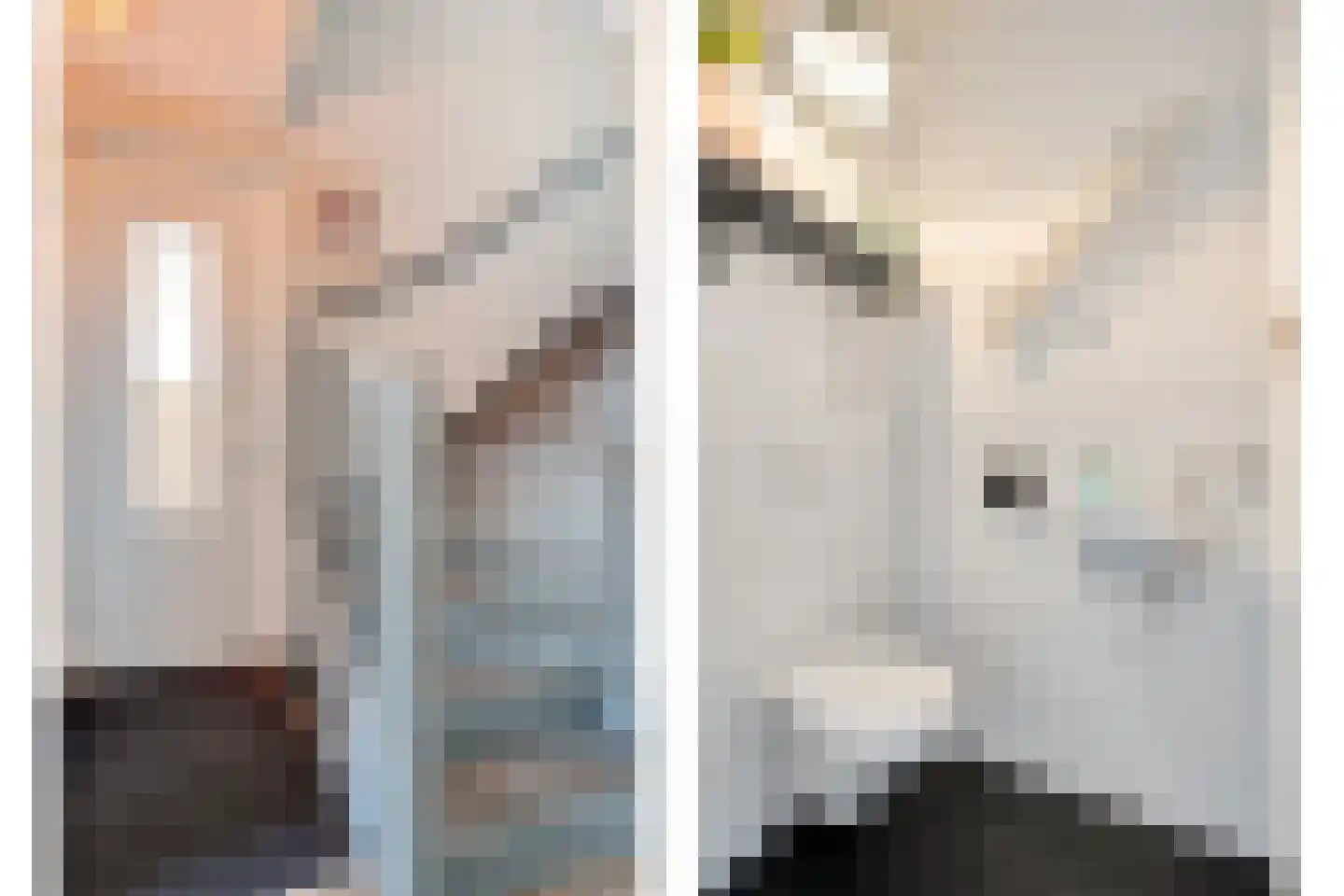 De Ryge 31 Nijeveen thumbnail 13