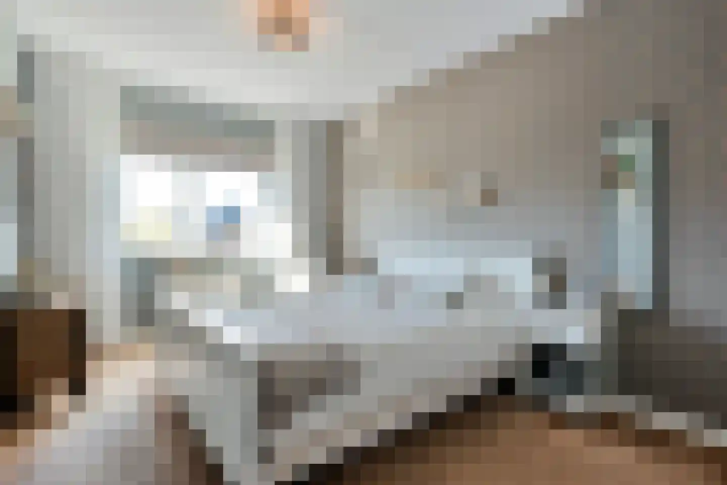 De Ryge 31 Nijeveen thumbnail 16