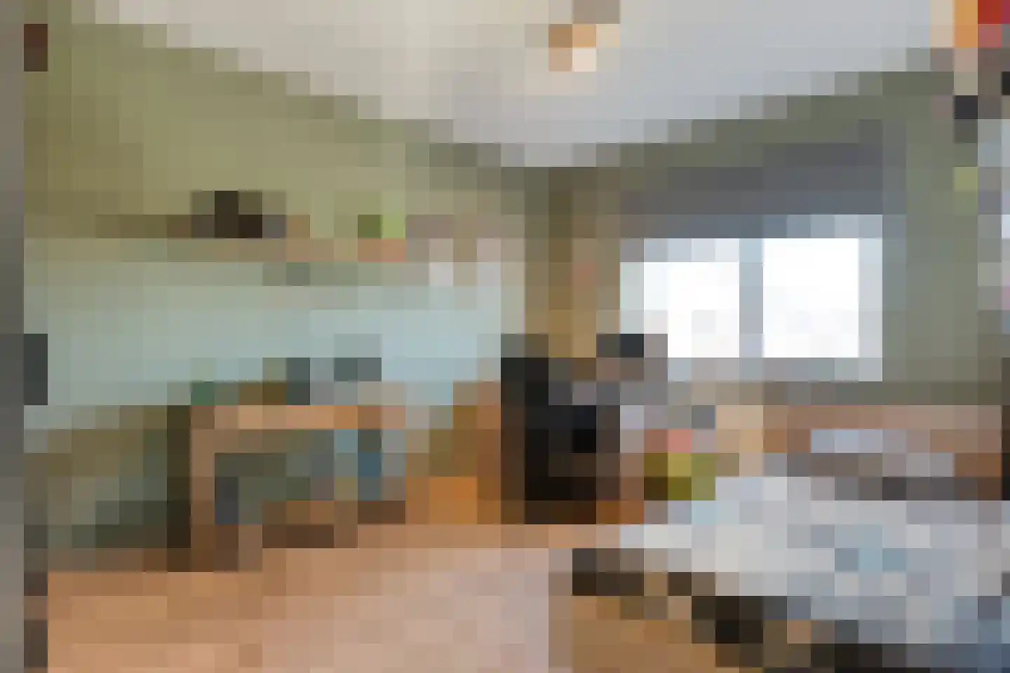 De Ryge 31 Nijeveen thumbnail 17